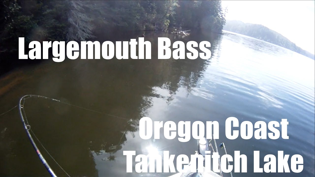 Largemouth Bass Fishing Tahkenitch Lake Oregon Coast!!! YouTube