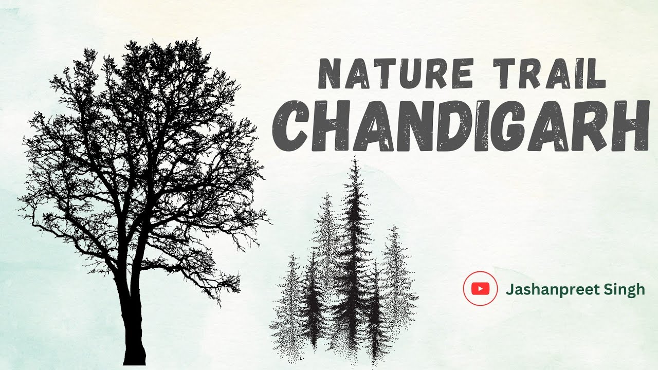 NATURE TRAIL, CHANDIGARH - YouTube
