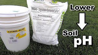 Lower Soil pH & Showing the Soil Test Results  The Strategy I Used & Why