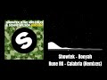 Showtek   booyah vs rune rk  calabria firebeatz  2007 remix 3sfm mashup