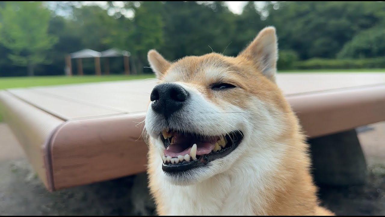 福ちゃんチャンネル初投稿です - YouTube