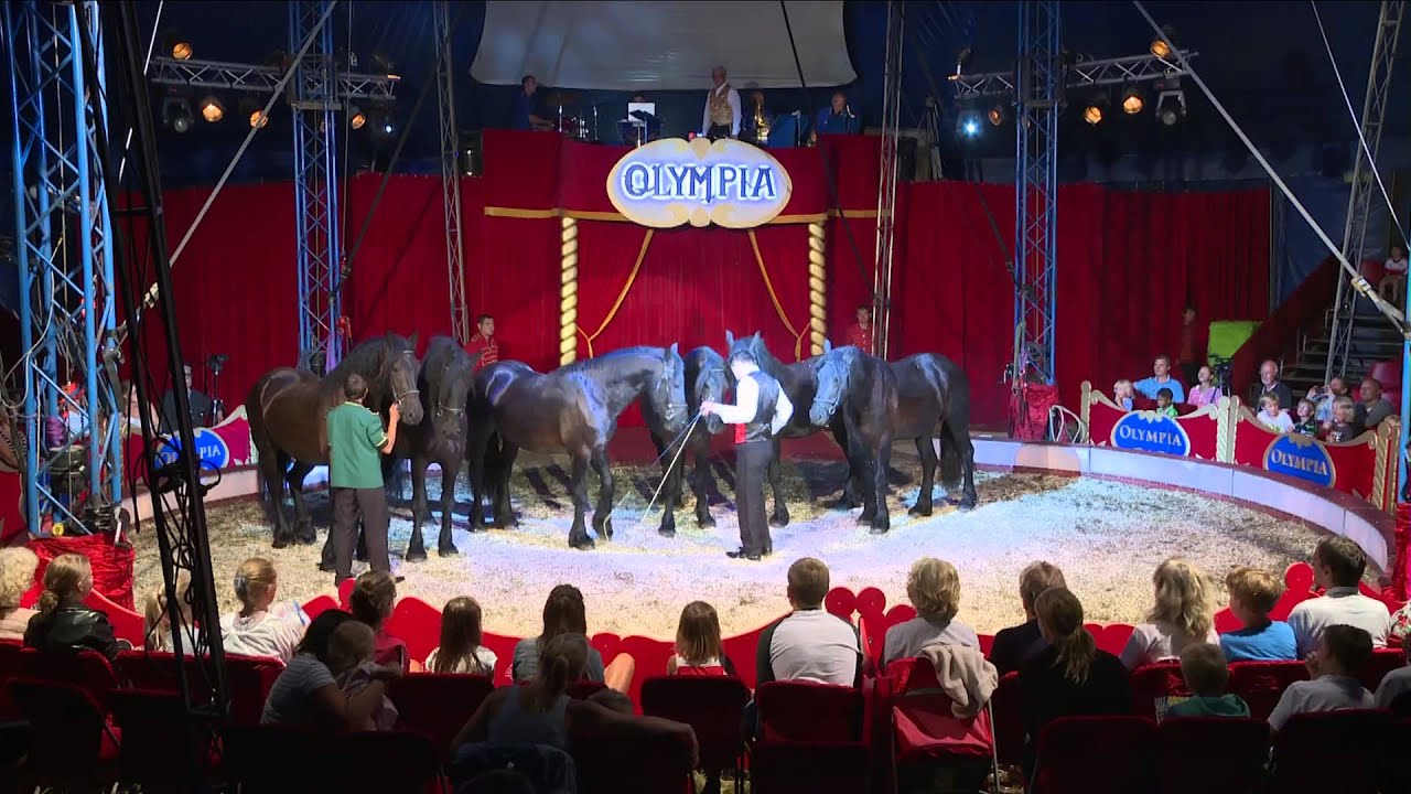 CIRKUSOLYMPIAHORSES