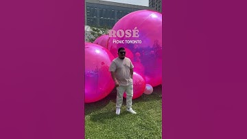 Thumbnail of Rosé pícnic 🩷 #viral #viralreel #torontolife #torontovlogger #momvlog #rosé #picnic