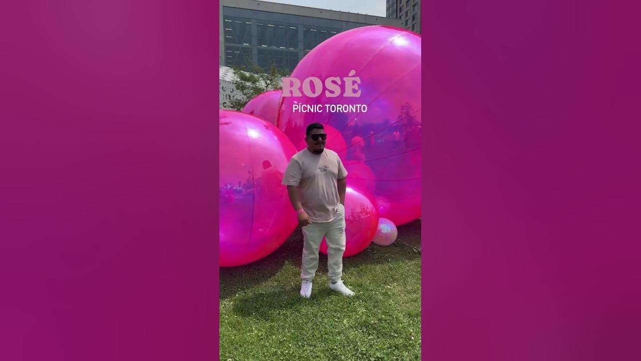Rosé pícnic 🩷 #viral #viralreel #torontolife #torontovlogger #momvlog #rosé #picnic