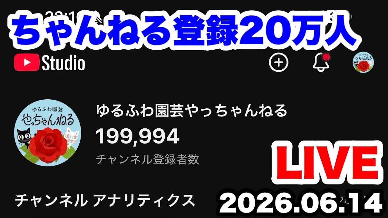 ■『ぽみんさん専用』ゆるふわ園芸やっちゃんねる ゆるふわ園芸やっちゃんねる がライブ配信中！ - YouTube