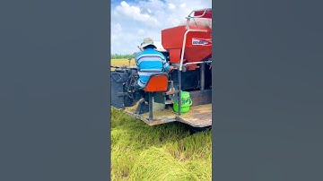 Máy Cắt Lúa Kubota DC 93 Plus