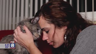 Why grieving a pet is so painful and tips for helping you get through the pain
