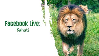 Facebook Live: Bahati