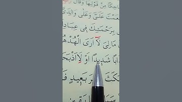 سورة النمل الأية 20 إلى 22 القارئ سعد الغامدي