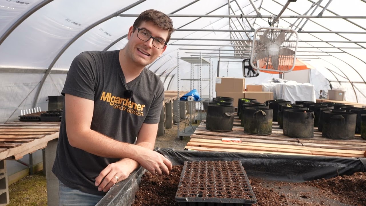 It's Time! Start Your Tomatoes NOW - YouTube