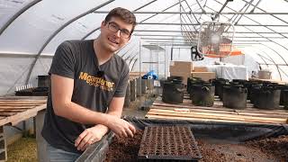 It's Time! Start Your Tomatoes NOW