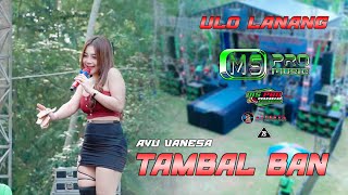Download Lagu TAMBAL BAN ~ AYU VANESA ~ NEW MS PRO MUSIC LIVE ULO LANANG FAMILY MP3 Download Lagu TAMBAL BAN ~ AYU VANESA ~ NEW MS PRO MUSIC LIVE ULO LANANG FAMILY MP3