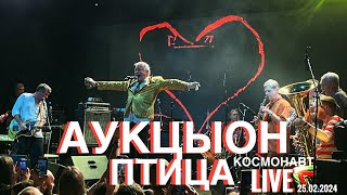 АУКЦЫОН - ПТИЦА LIVE Санкт Петербург | 25.02.2024 | Космонавт. День Рождения Олега Гаркуши