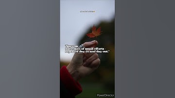 "Success is the sum of small efforts - repeated day in and day out."✨#success #effort #motivation