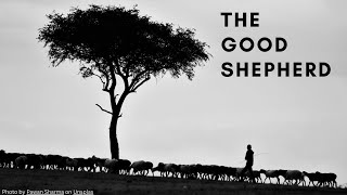 Jesus: Our Good Shepherd Who Sees and Cares