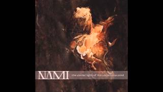 Download Lagu Nami - The Beholders MP3
