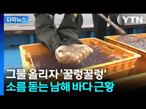 자막뉴스 이런 상황은 처음 대량 발생에 피눈물 YTN 