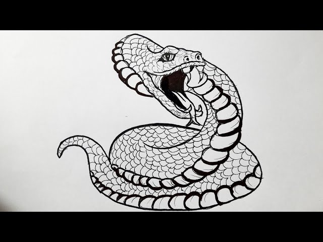 King cobra sketch. Cobra snake tattoo style in black and white. Print  design for t-shirt. snake animal sketch engraving 20817579 Vector Art at  Vecteezy