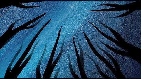 Forest in the darkness | Procreate + iPad Pro 11 time-lapse | Digital Painting | claracris