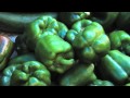 Video clip : Jabalance - From The Farm