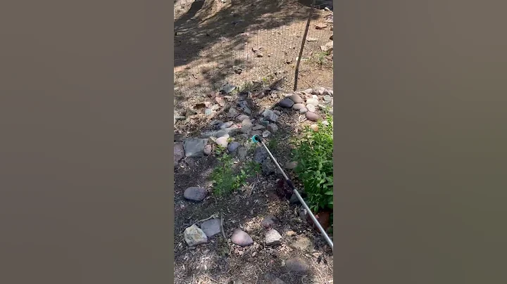 Part 3 - Weed Control (Next Part Coming Soon As Well As Final Results)