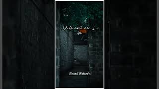 Sad Status 😔🥀 | Shani Writer's Shorts #poetry #shortvideo #viral #viralvideo #shaniwrites