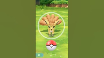 Shiny Vulpix! Shiny Living Dex #37 #pokemonletsgo