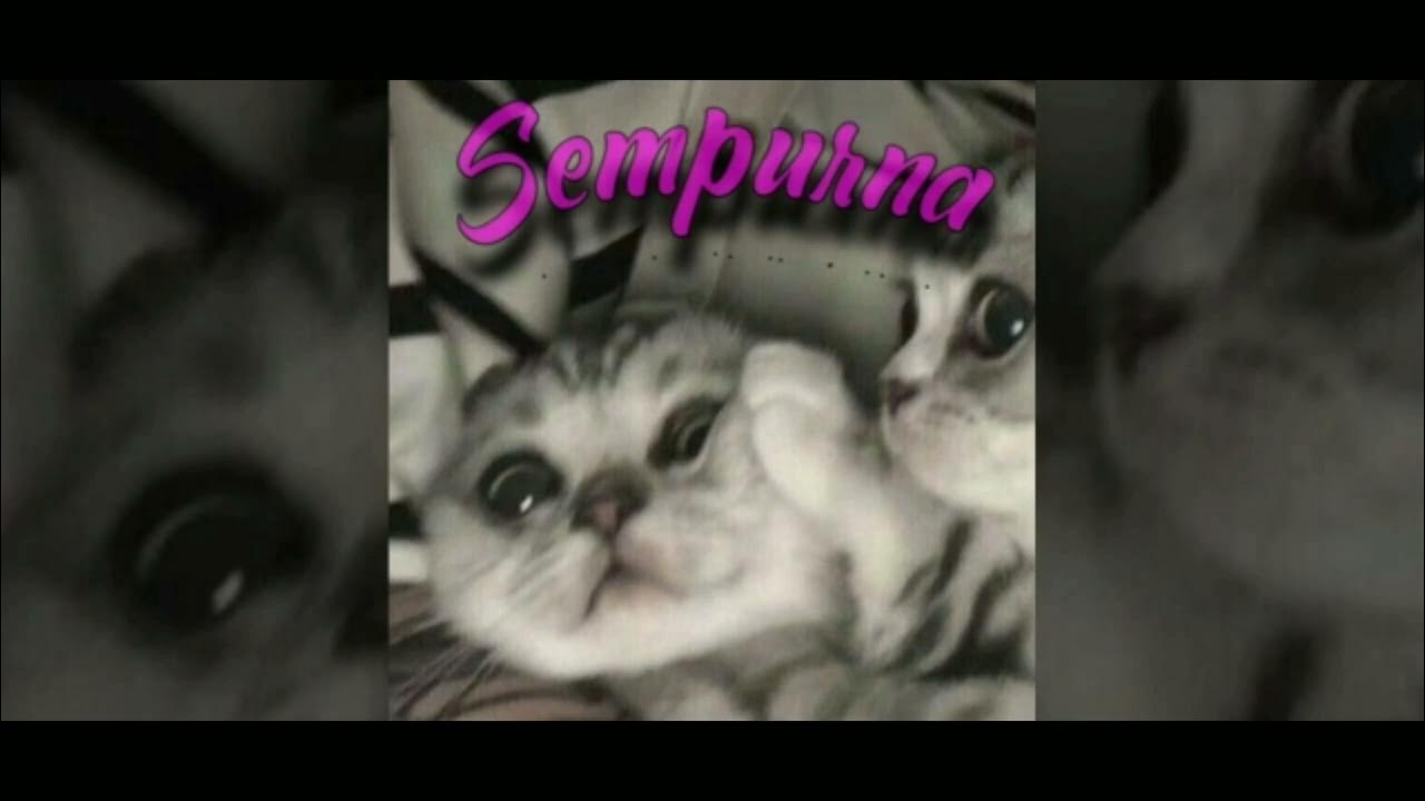 Andra And The Backbone - Sempurna (Lyrics) Andra And The Backbone - Sempurna (Lyrics)