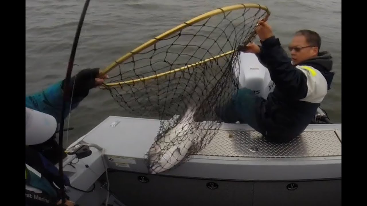 Half Moon Bay salmon fishing 8/26/17 Devils slide get a 17lber. YouTube