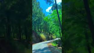 Kashmir🌲#nature #travel #sceniclandscapes #scenicjourney #mountains #travelvlog #bike #tour #camping