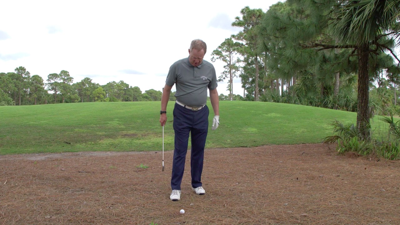 My ball is resting on pine straw | Fix Finder 