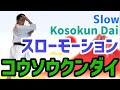 [コウソウクンダイ]　スローモーション　Kosokun Dai slow motion 空手　形　karate kata kumite りゅう先生　ryusensei りゅうチューブ　ryutube