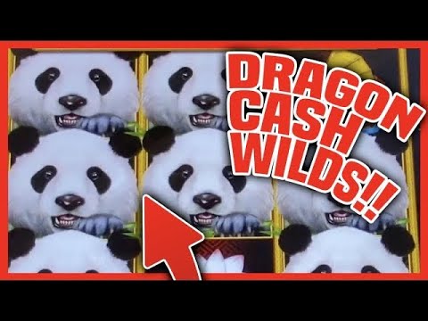 Toms of Wilds Lead to a big payday on Dragon Cash