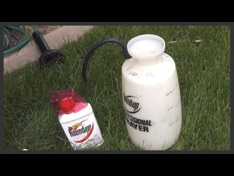 Video: Roundup Av Mobilspill • Side 2