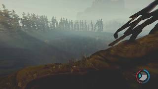 Turtle Shell Sledding - The Forest
