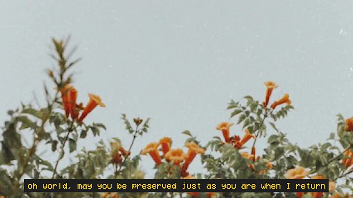 Feng Suave  -  Maybe Another Time Lyrics