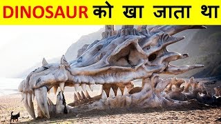 Dinosaurs से पहले इस धरती पर कौन रेहता था । who lived on earth before Dinosaurs ?