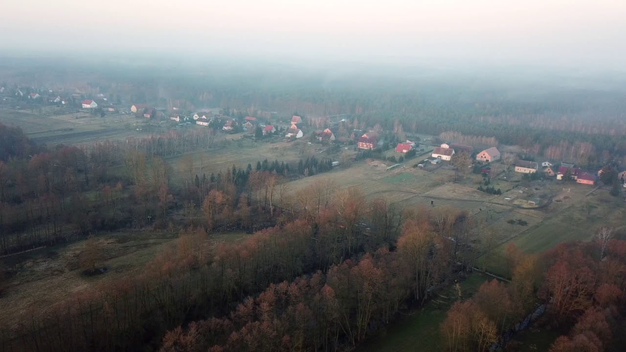 Frühlingserwachen in Friedrichsthal (Uckermark)