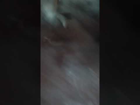 ٢٤ مارس ٢٠١٨