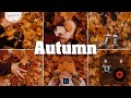 Autumn Preset - Lightroom Mobile Preset | Fall Preset | Autumn Filter | Autumn Photo Editing | Maple