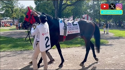 International Stars Look for More Success in America in 2024 Sword Dancer Stakes