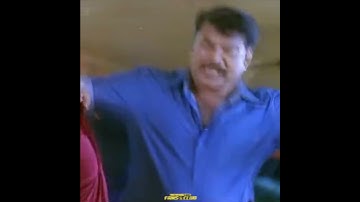 നരി നരേന്ദ്രൻ 🔥😡🔥| Megastar Mammootty mass Action | Status Video | mammookka mass |