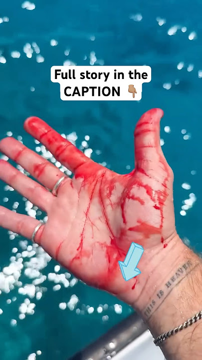 Swimming With Sharks in The Maldives Gone Wrong 😭🦈 (Respect Their Space!)