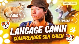 Apprenez à comprendre votre chien ! (Le langage canin) | Laetitia Gonnon  Eduzen