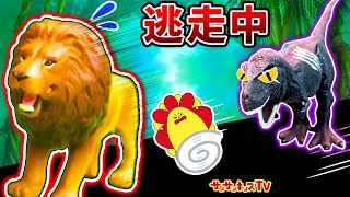 【アニア】恐竜と動物が鬼ごっこで逃走中！？ティラノサウルスとライオンがバトル！子供向け知育教育★サンサンキッズTV★ screenshot 4
