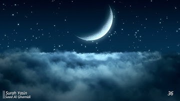 Surah Yasin Saad Al Ghamidi 36 سورة يس سعد الغامدي