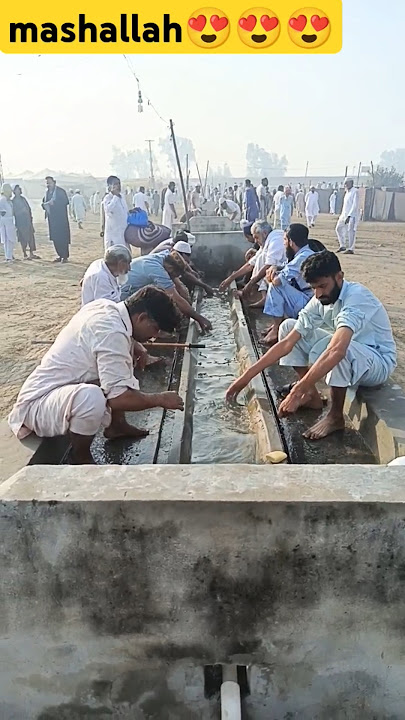 raiwind ijtema 2024 live #music #song #cover #live #singer #facts #maccamadina