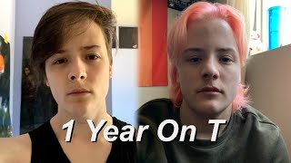 1 Year On Testosterone - FTM Transition - Voice Comparison
