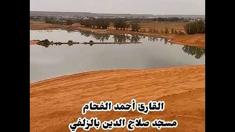 عشاء الإربعاء 22-7-1446 القارئ أحمد الفحام تلاوة بديعة سورة النور 41-46