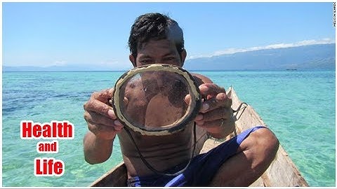 Bajau 